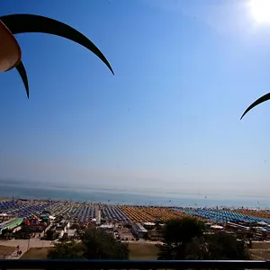 Palm Rimini